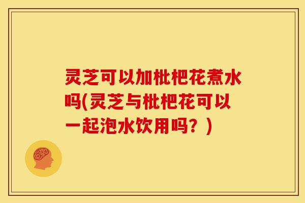 灵芝可以加枇杷花煮水吗(灵芝与枇杷花可以一起泡水饮用吗?) 灵芝可以加枇杷花煮水吗(灵芝与枇杷花可以一起泡水饮用吗?)