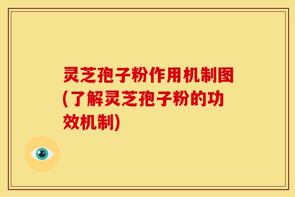 灵芝孢子粉作用机制图(了解灵芝孢子粉的功效机制) 灵芝孢子粉作用机制图(了解灵芝孢子粉的功效机制)