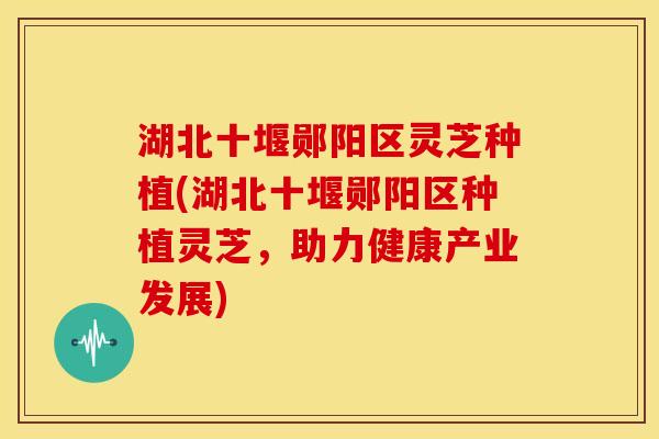 湖北十堰郧阳区灵芝种植(湖北十堰郧阳区种植灵芝,助力健康产业发展) 湖北十堰郧阳区灵芝种植(湖北十堰郧阳区种植灵芝,助力健康产业发展)