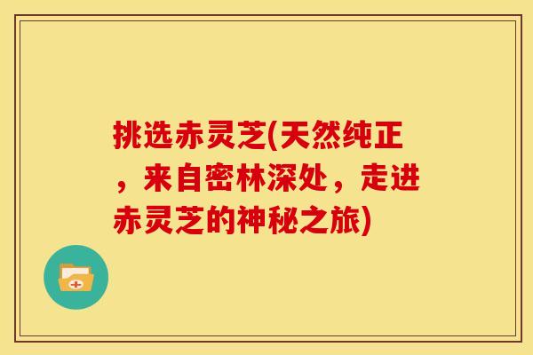 挑选赤灵芝(天然纯正,来自密林深处,走进赤灵芝的神秘之旅) 挑选赤灵芝(天然纯正,来自密林深处,走进赤灵芝的神秘之旅)