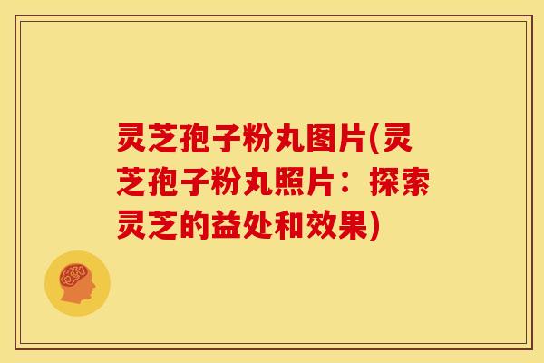 灵芝孢子粉丸图片(灵芝孢子粉丸照片：探索灵芝的益处和效果)