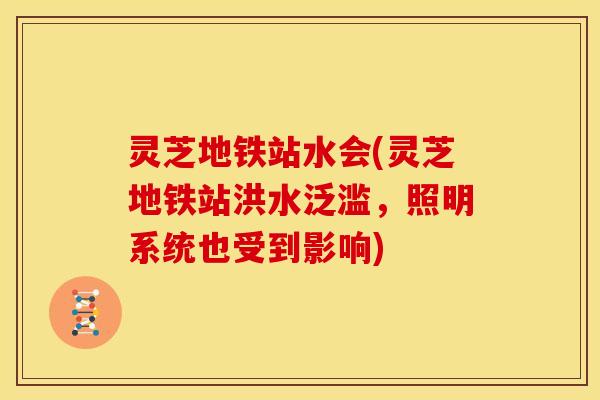 灵芝地铁站水会(灵芝地铁站洪水泛滥,照明系统也受到影响) 灵芝地铁站水会(灵芝地铁站洪水泛滥,照明系统也受到影响)