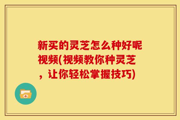 新买的灵芝怎么种好呢视频(视频教你种灵芝,让你轻松掌握技巧) 新买的灵芝怎么种好呢视频(视频教你种灵芝,让你轻松掌握技巧)