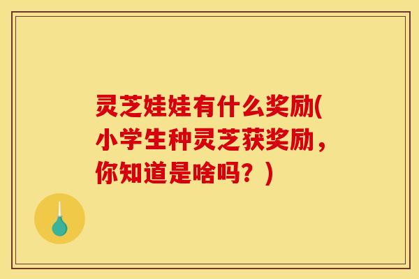 灵芝娃娃有什么奖励(小学生种灵芝获奖励,你知道是啥吗?) 灵芝娃娃有什么奖励(小学生种灵芝获奖励,你知道是啥吗?)