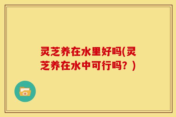 灵芝养在水里好吗(灵芝养在水中可行吗?) 灵芝养在水里好吗(灵芝养在水中可行吗?)