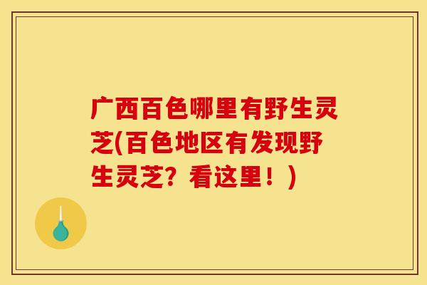 广西百色哪里有野生灵芝(百色地区有发现野生灵芝?看这里!) 广西百色哪里有野生灵芝(百色地区有发现野生灵芝?看这里!)