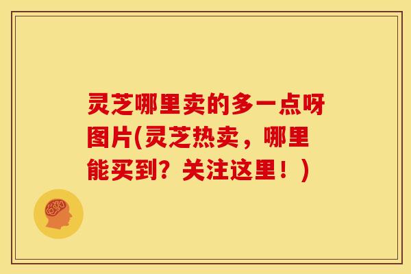 灵芝哪里卖的多一点呀图片(灵芝热卖,哪里能买到?关注这里!) 灵芝哪里卖的多一点呀图片(灵芝热卖,哪里能买到?关注这里!)