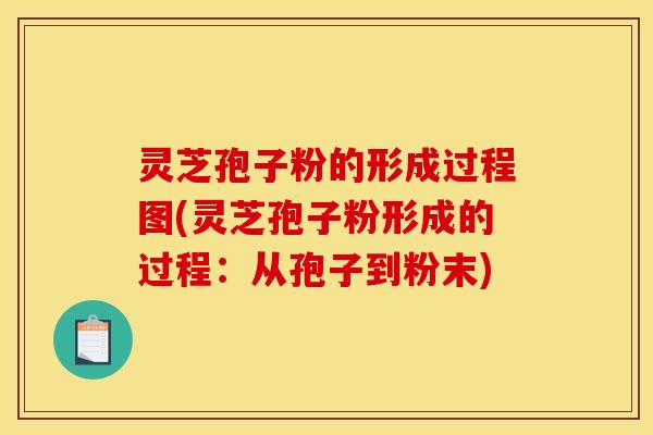 灵芝孢子粉的形成过程图(灵芝孢子粉形成的过程:从孢子到粉末) 灵芝孢子粉的形成过程图(灵芝孢子粉形成的过程:从孢子到粉末)