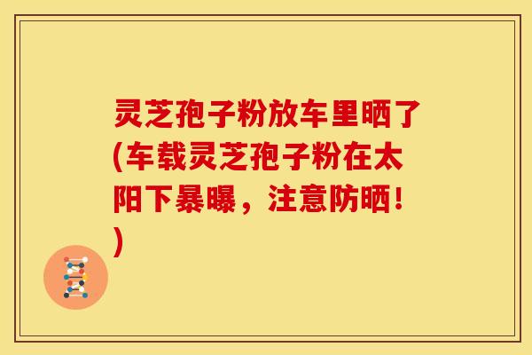 灵芝孢子粉放车里晒了(车载灵芝孢子粉在太阳下暴曝,注意防晒!) 灵芝孢子粉放车里晒了(车载灵芝孢子粉在太阳下暴曝,注意防晒!)
