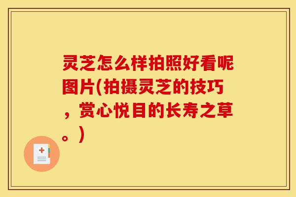 灵芝怎么样拍照好看呢图片(拍摄灵芝的技巧,赏心悦目的长寿之草。) 灵芝怎么样拍照好看呢图片(拍摄灵芝的技巧,赏心悦目的长寿之草。)