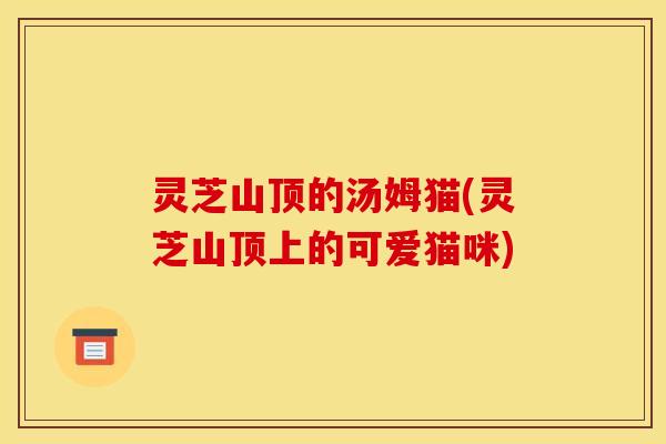 灵芝山顶的汤姆猫(灵芝山顶上的可爱猫咪) 灵芝山顶的汤姆猫(灵芝山顶上的可爱猫咪)