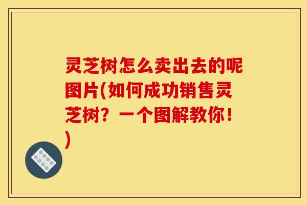 灵芝树怎么卖出去的呢图片(如何成功销售灵芝树?一个图解教你!) 灵芝树怎么卖出去的呢图片(如何成功销售灵芝树?一个图解教你!)