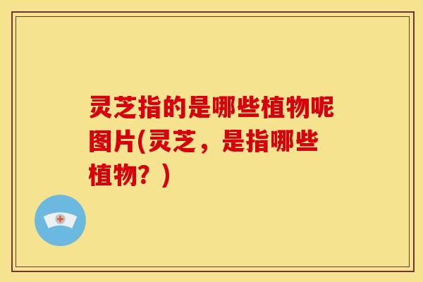 灵芝指的是哪些植物呢图片(灵芝,是指哪些植物?) 灵芝指的是哪些植物呢图片(灵芝,是指哪些植物?)
