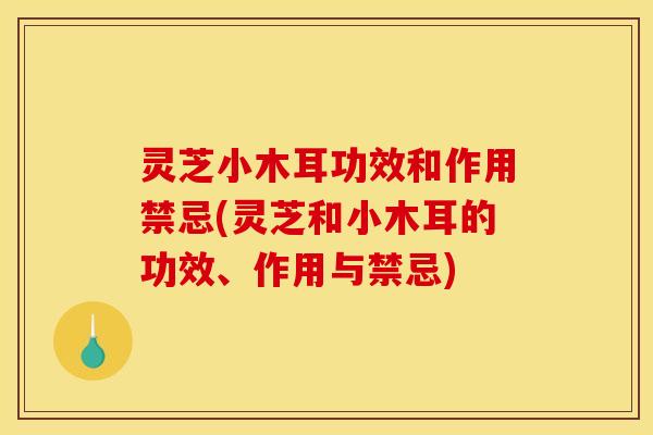 灵芝小木耳功效和作用禁忌(灵芝和小木耳的功效、作用与禁忌) 灵芝小木耳功效和作用禁忌(灵芝和小木耳的功效、作用与禁忌)