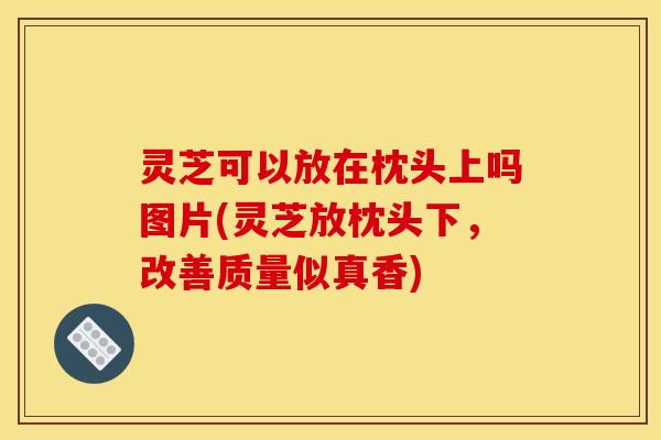 灵芝可以放在枕头上吗图片(灵芝放枕头下,改善质量似真香) 灵芝可以放在枕头上吗图片(灵芝放枕头下,改善质量似真香)