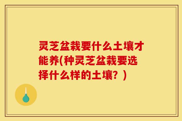 灵芝盆栽要什么土壤才能养(种灵芝盆栽要选择什么样的土壤？)