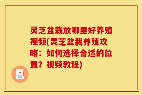 灵芝盆栽放哪里好养殖视频(灵芝盆栽养殖攻略：如何选择合适的位置？视频教程)