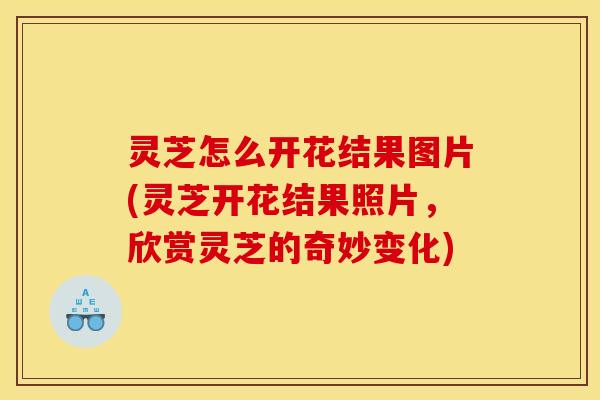 灵芝怎么开花结果图片(灵芝开花结果照片,欣赏灵芝的奇妙变化) 灵芝怎么开花结果图片(灵芝开花结果照片,欣赏灵芝的奇妙变化)