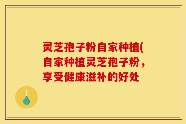 灵芝孢子粉自家种植(自家种植灵芝孢子粉,享受健康滋补的好处 灵芝孢子粉自家种植(自家种植灵芝孢子粉,享受健康滋补的好处
