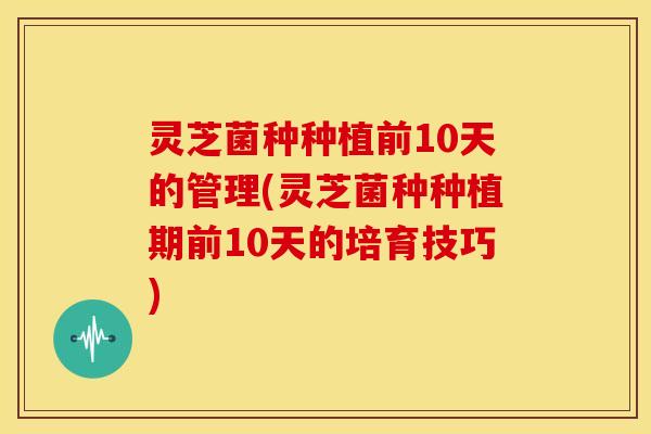 灵芝菌种种植前10天的管理(灵芝菌种种植期前10天的培育技巧) 灵芝菌种种植前10天的管理(灵芝菌种种植期前10天的培育技巧)