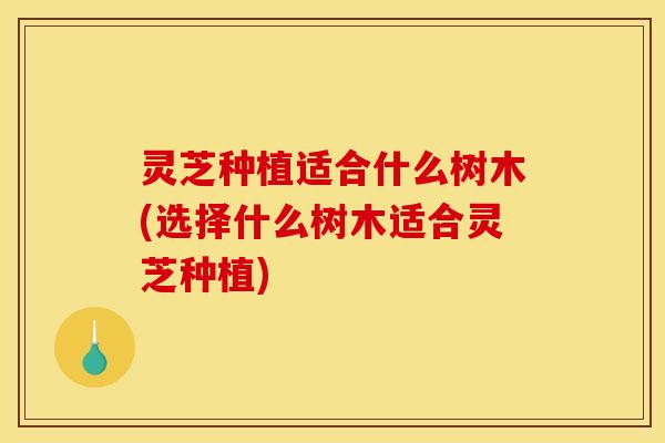 灵芝种植适合什么树木(选择什么树木适合灵芝种植) 灵芝种植适合什么树木(选择什么树木适合灵芝种植)