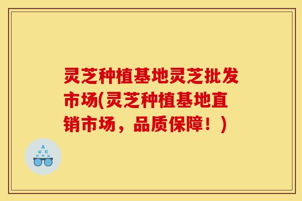 灵芝种植基地灵芝批发市场(灵芝种植基地直销市场,品质保障!) 灵芝种植基地灵芝批发市场(灵芝种植基地直销市场,品质保障!)