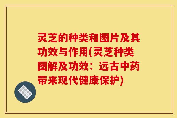 灵芝的种类和图片及其功效与作用(灵芝种类图解及功效:远古带来现代健康保护) 灵芝的种类和图片及其功效与作用(灵芝种类图解及功效:远古带来现代健康保护)