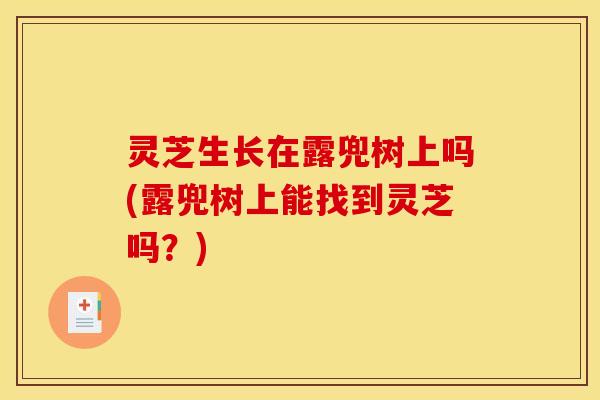 灵芝生长在露兜树上吗(露兜树上能找到灵芝吗?) 灵芝生长在露兜树上吗(露兜树上能找到灵芝吗?)