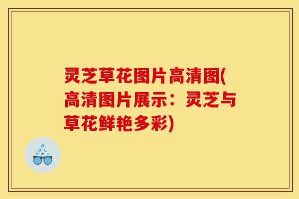 灵芝草花图片高清图(高清图片展示:灵芝与草花鲜艳多彩) 灵芝草花图片高清图(高清图片展示:灵芝与草花鲜艳多彩)