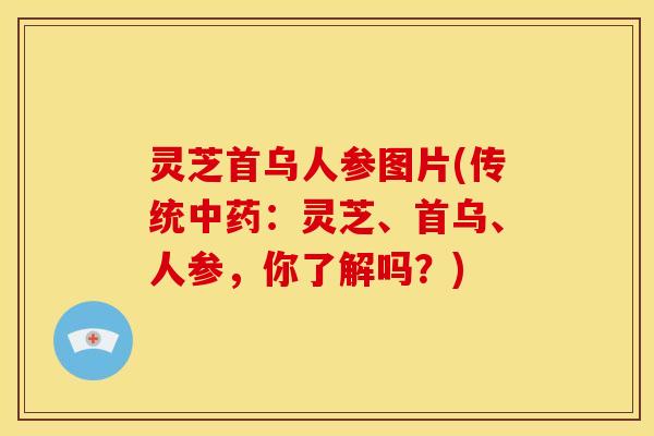 灵芝首乌人参图片(传统:灵芝、首乌、人参,你了解吗?) 灵芝首乌人参图片(传统:灵芝、首乌、人参,你了解吗?)