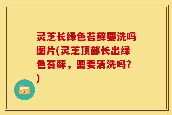 灵芝长绿色苔藓要洗吗图片(灵芝顶部长出绿色苔藓,需要清洗吗?) 灵芝长绿色苔藓要洗吗图片(灵芝顶部长出绿色苔藓,需要清洗吗?)
