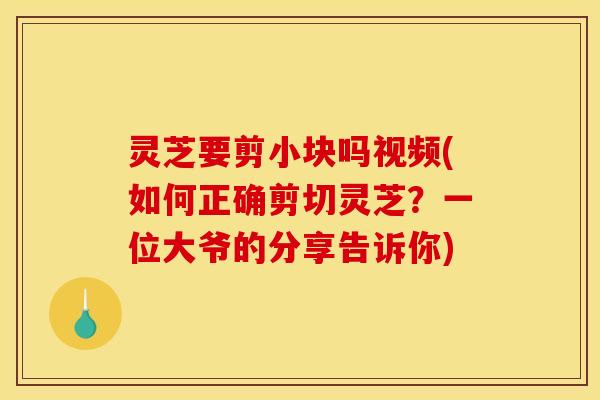 灵芝要剪小块吗视频(如何正确剪切灵芝？一位大爷的分享告诉你)