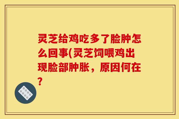 灵芝给鸡吃多了脸肿怎么回事(灵芝饲喂鸡出现脸部肿胀,原因何在? 灵芝给鸡吃多了脸肿怎么回事(灵芝饲喂鸡出现脸部肿胀,原因何在?
