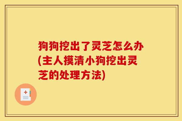 狗狗挖出了灵芝怎么办(主人摸清小狗挖出灵芝的处理方法)