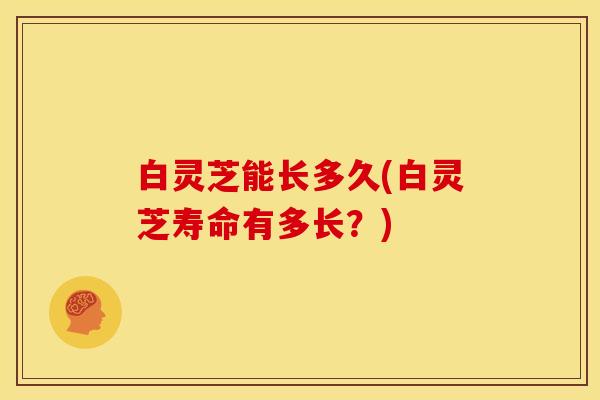 白灵芝能长多久(白灵芝寿命有多长?) 白灵芝能长多久(白灵芝寿命有多长?)