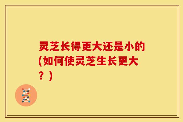 灵芝长得更大还是小的(如何使灵芝生长更大?) 灵芝长得更大还是小的(如何使灵芝生长更大?)