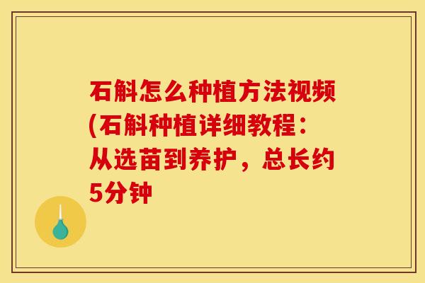 石斛怎么种植方法视频(石斛种植详细教程:从选苗到养护,总长约5分钟 石斛怎么种植方法视频(石斛种植详细教程:从选苗到养护,总长约5分钟
