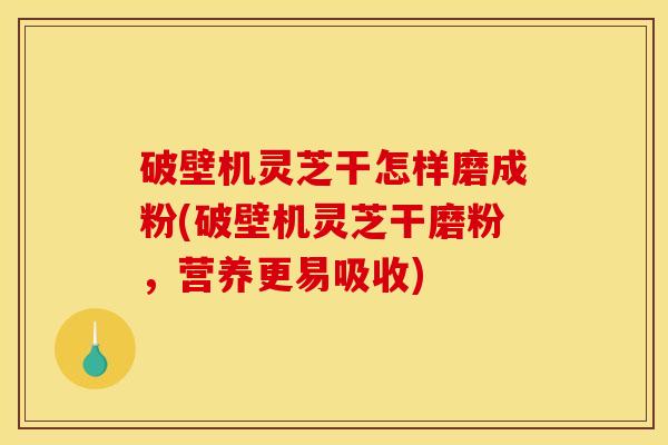 破壁机灵芝干怎样磨成粉(破壁机灵芝干磨粉,营养更易吸收) 破壁机灵芝干怎样磨成粉(破壁机灵芝干磨粉,营养更易吸收)