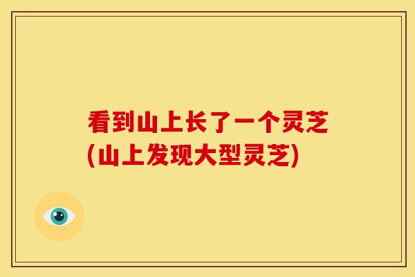 看到山上长了一个灵芝(山上发现大型灵芝) 看到山上长了一个灵芝(山上发现大型灵芝)