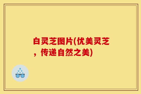 白灵芝图片(优美灵芝,传递自然之美) 白灵芝图片(优美灵芝,传递自然之美)