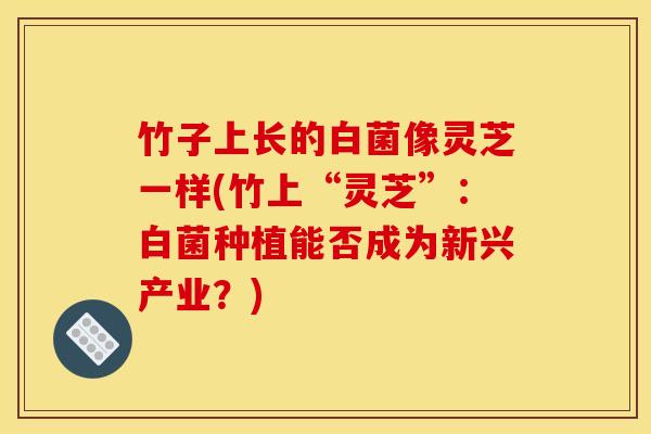 竹子上长的白菌像灵芝一样(竹上“灵芝”:白菌种植能否成为新兴产业?) 竹子上长的白菌像灵芝一样(竹上“灵芝”:白菌种植能否成为新兴产业?)
