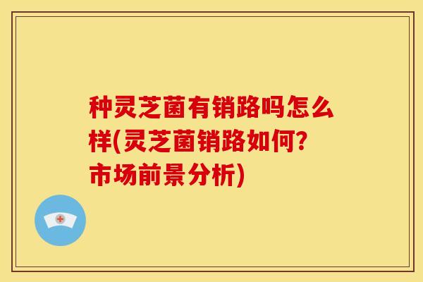 种灵芝菌有销路吗怎么样(灵芝菌销路如何?市场前景分析) 种灵芝菌有销路吗怎么样(灵芝菌销路如何?市场前景分析)