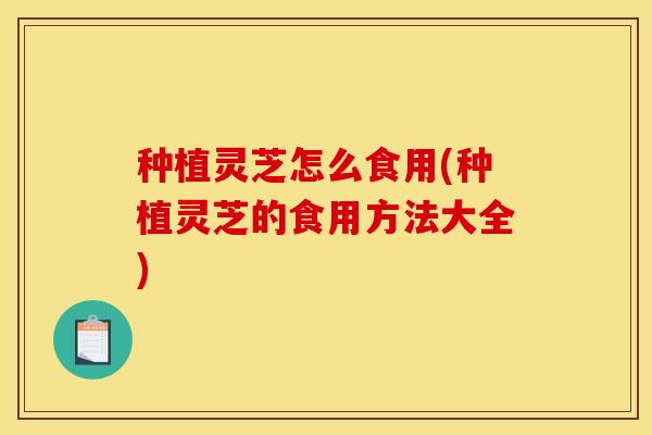 种植灵芝怎么食用(种植灵芝的食用方法大全)