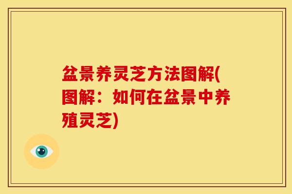 盆景养灵芝方法图解(图解:如何在盆景中养殖灵芝) 盆景养灵芝方法图解(图解:如何在盆景中养殖灵芝)