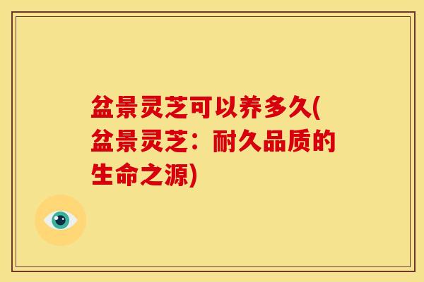 盆景灵芝可以养多久(盆景灵芝:耐久品质的生命之源) 盆景灵芝可以养多久(盆景灵芝:耐久品质的生命之源)