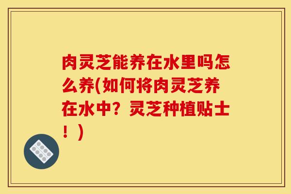 肉灵芝能养在水里吗怎么养(如何将肉灵芝养在水中?灵芝种植贴士!) 肉灵芝能养在水里吗怎么养(如何将肉灵芝养在水中?灵芝种植贴士!)