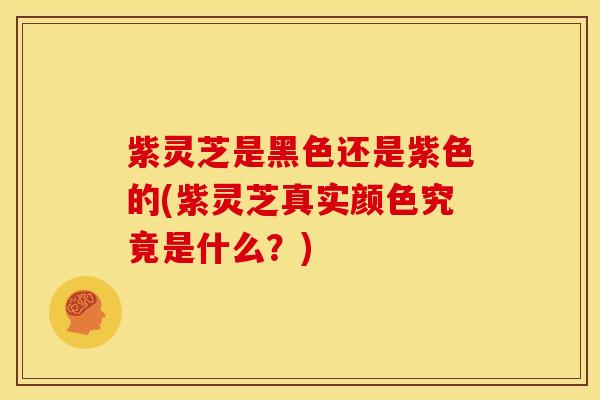紫灵芝是黑色还是紫色的(紫灵芝真实颜色究竟是什么?) 紫灵芝是黑色还是紫色的(紫灵芝真实颜色究竟是什么?)