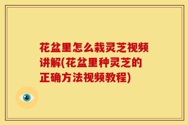 花盆里怎么栽灵芝视频讲解(花盆里种灵芝的正确方法视频教程) 花盆里怎么栽灵芝视频讲解(花盆里种灵芝的正确方法视频教程)