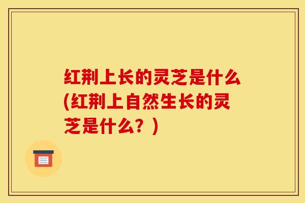 红荆上长的灵芝是什么(红荆上自然生长的灵芝是什么?) 红荆上长的灵芝是什么(红荆上自然生长的灵芝是什么?)