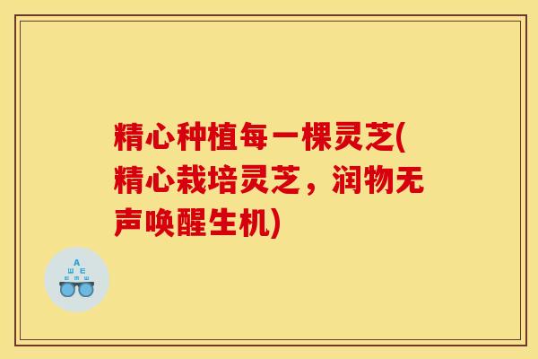 精心种植每一棵灵芝(精心栽培灵芝,润物无声唤醒生机) 精心种植每一棵灵芝(精心栽培灵芝,润物无声唤醒生机)